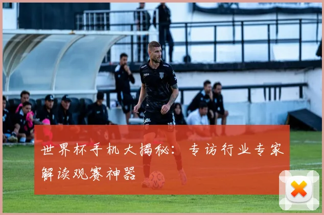 世界杯手机大揭秘：专访行业专家解读观赛神器