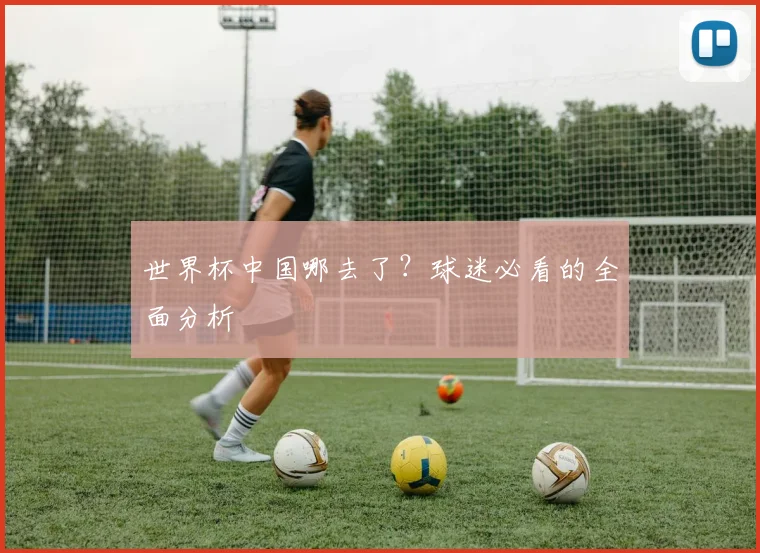 世界杯中国哪去了?球迷必看的全面分析