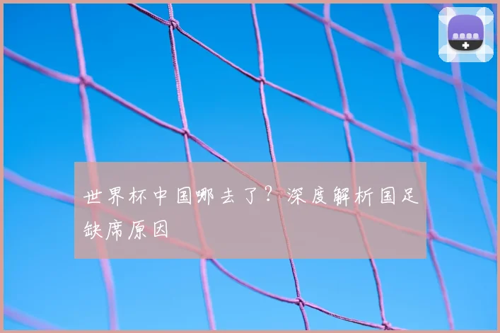 世界杯中国哪去了?深度解析国足缺席原因