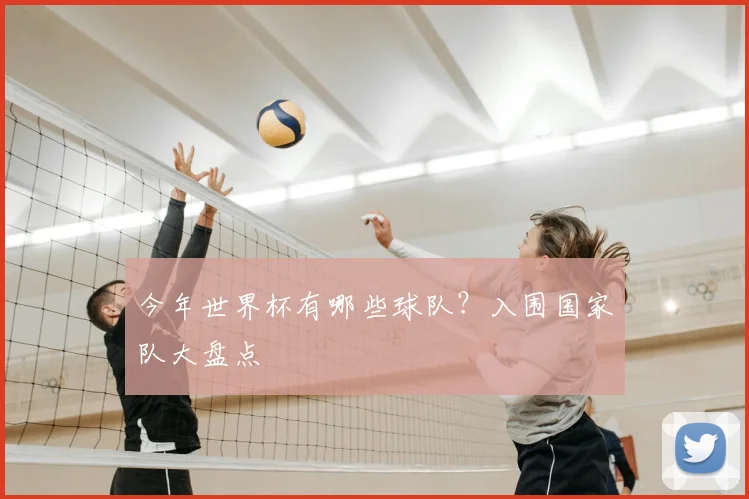 今年世界杯有哪些球队？入围国家队大盘点