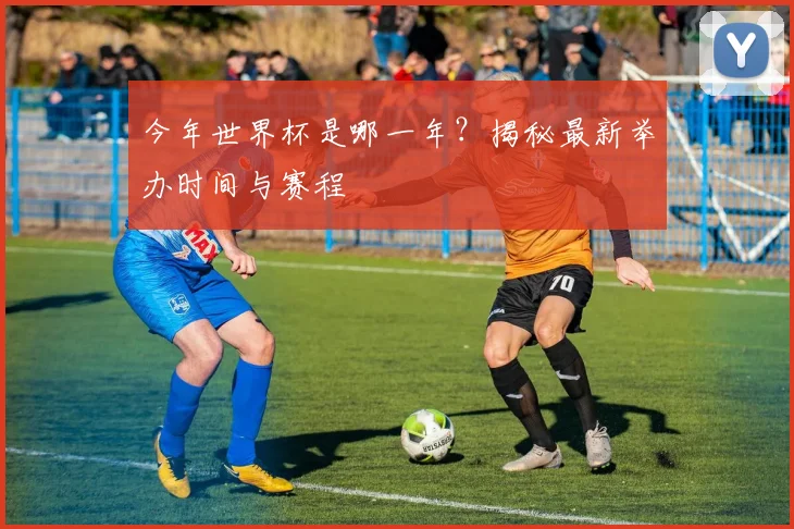 今年世界杯是哪一年?揭秘最新举办时间与赛程