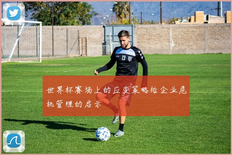 世界杯赛场上的应变策略给企业危机管理的启示